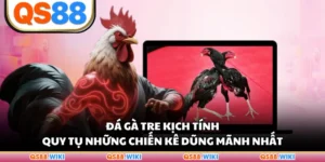 Đá Gà Tre Kịch Tính Quy Tụ Những Chiến Kê Dũng Mãnh Nhất