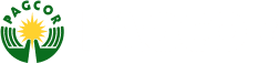 pagcor QS88