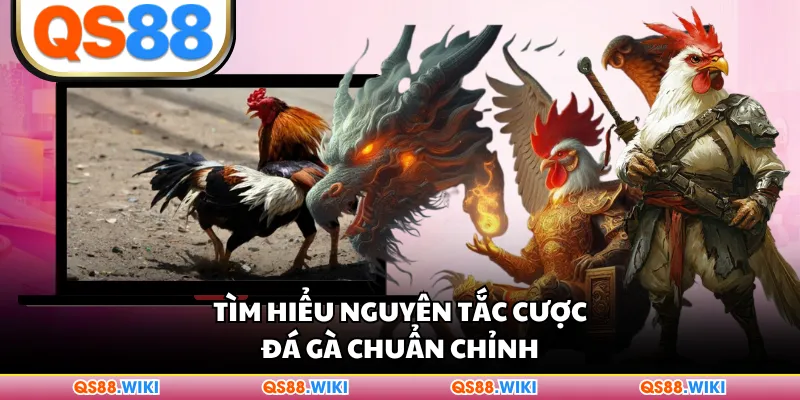 Tìm hiểu nguyên tắc cược đá gà chuẩn chỉnh