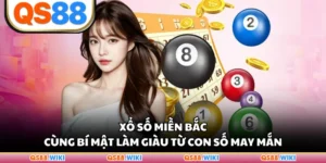 Xổ Số Miền Bắc Cùng Bí Mật Làm Giàu Từ Con Số May Mắn